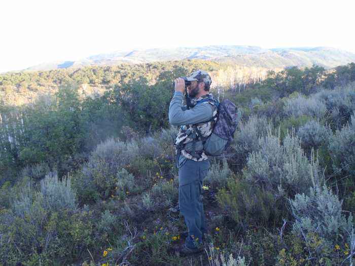 Bow Hunt for Elk